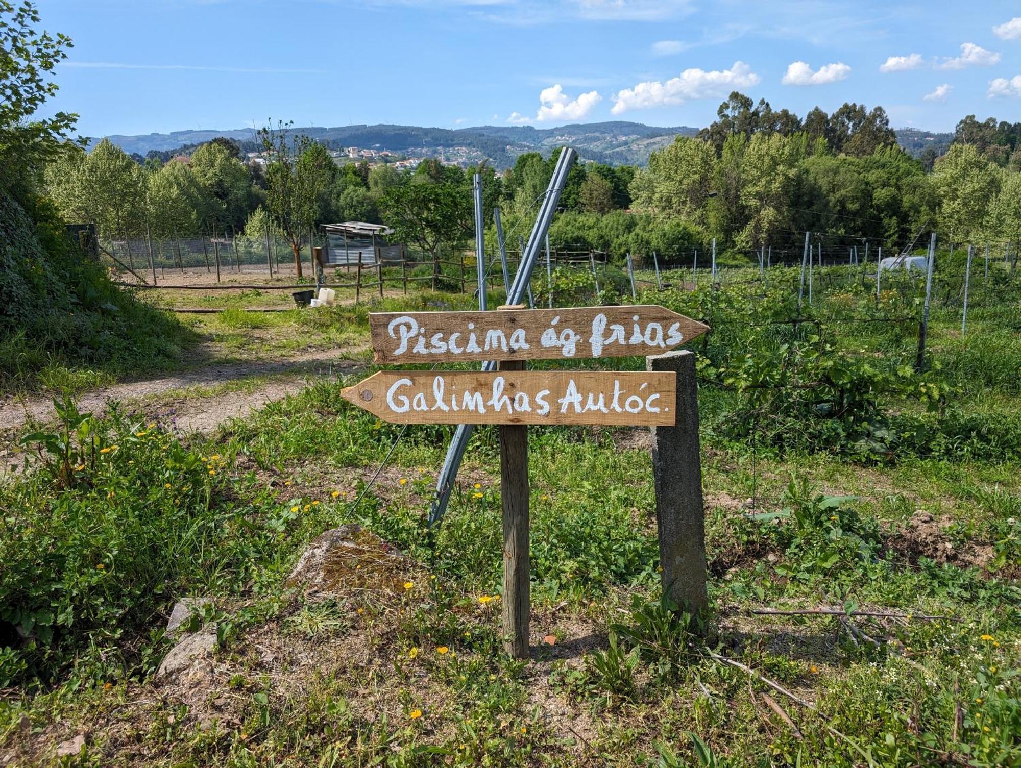 Quinta Da Lage Agroturismo E Enoturismo Celorico De Basto Exterior photo